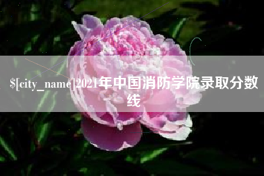 湖北2021年中国消防学院录取分数线