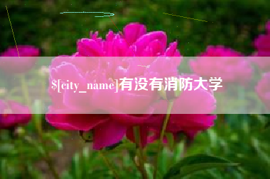 湖北有没有消防大学