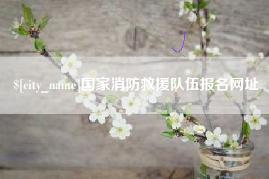 湖北国家消防救援队伍报名网址