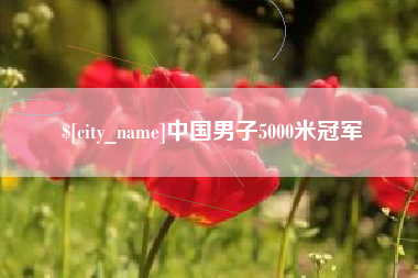 湖北中国男子5000米冠军