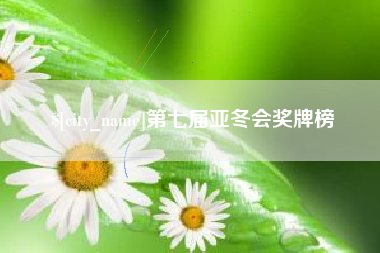 湖北第七届亚冬会奖牌榜
