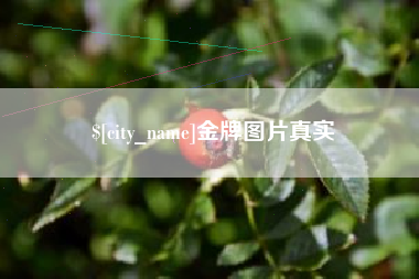 湖北金牌图片真实