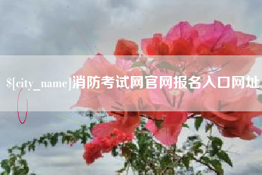 湖北消防考试网官网报名入口网址