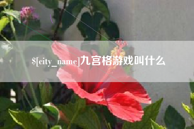 湖北九宫格游戏叫什么