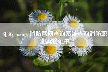 湖北消防官网查询系统查询消防职业资格证书