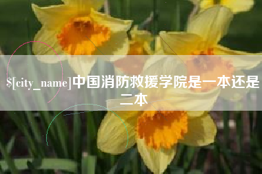 湖北中国消防救援学院是一本还是二本