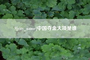 湖北中国夺金大项是谁