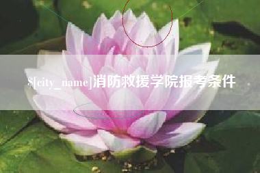 湖北消防救援学院报考条件