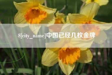 湖北中国已经几枚金牌