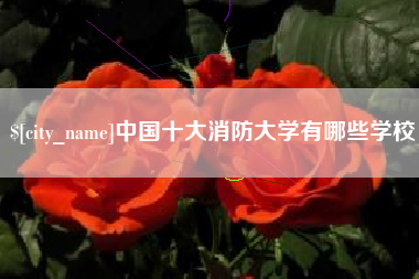 湖北中国十大消防大学有哪些学校