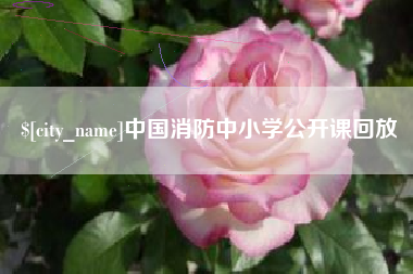 湖北中国消防中小学公开课回放
