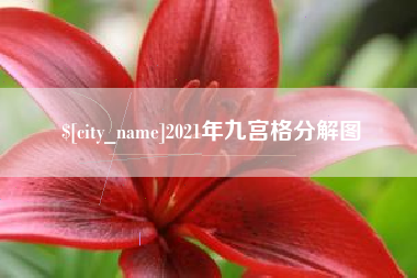 湖北2021年九宫格分解图