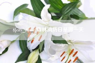 湖北森林消防日是哪一天