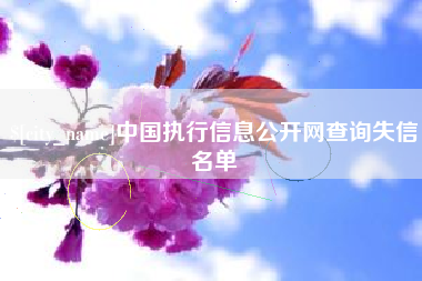 湖北中国执行信息公开网查询失信名单
