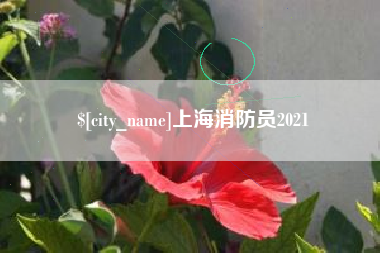 湖北上海消防员2021