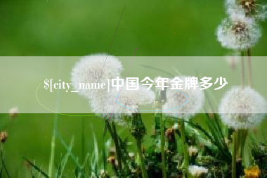 湖北中国今年金牌多少