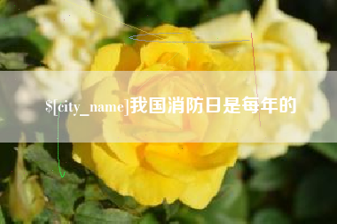湖北我国消防日是每年的