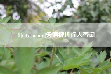 湖北失信被执行人杳询