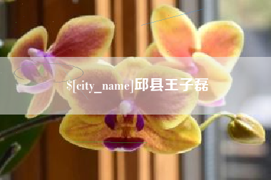 湖北邱县王子磊