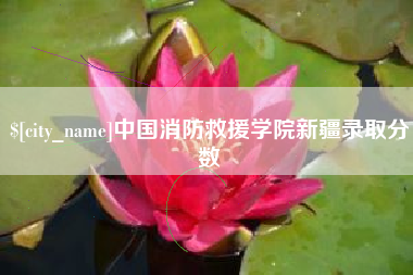 湖北中国消防救援学院新疆录取分数
