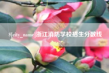 湖北浙江消防学校招生分数线