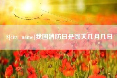 湖北我国消防日是哪天几月几日