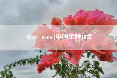湖北中国金牌18金