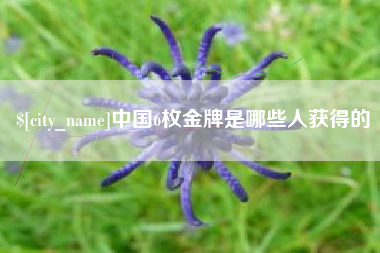 湖北中国6枚金牌是哪些人获得的