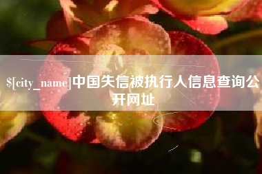 湖北中国失信被执行人信息查询公开网址