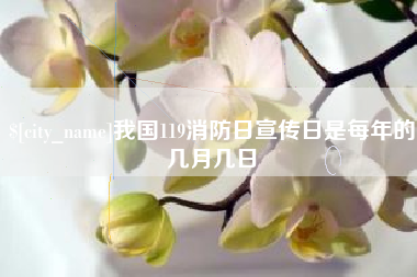 湖北我国119消防日宣传日是每年的几月几日