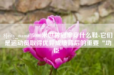 湖北5000米世界冠军穿什么鞋-它们是运动员取得优异成绩背后的重要“功臣”