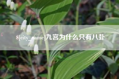 湖北九宫为什么只有八卦