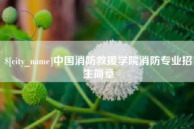 湖北中国消防救援学院消防专业招生简章