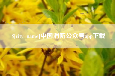 湖北中国消防公众号app下载