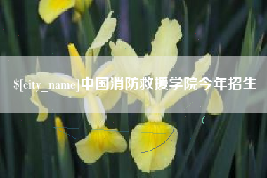 湖北中国消防救援学院今年招生