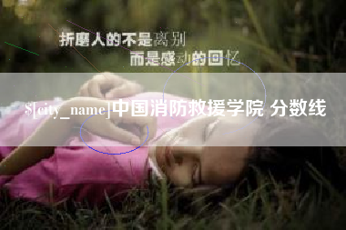 湖北中国消防救援学院 分数线