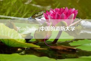 湖北中国的消防大学