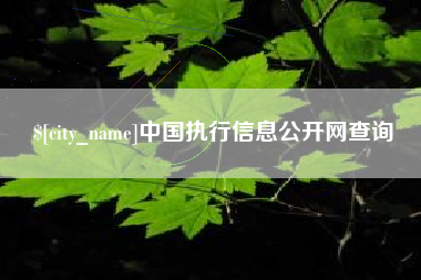 湖北中国执行信息公开网查询