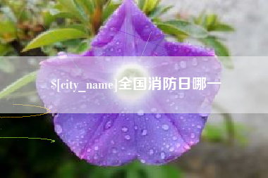 湖北全国消防日哪一