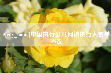 湖北中国执行公开网被执行人名单查询