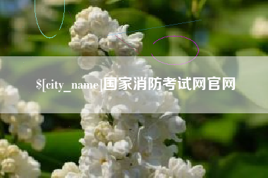 湖北国家消防考试网官网