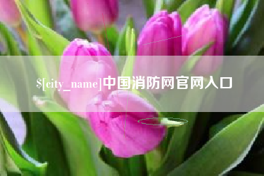 湖北中国消防网官网入口