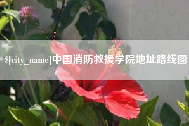 湖北中国消防救援学院地址路线图