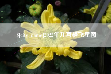 湖北2022年九宫格飞星图