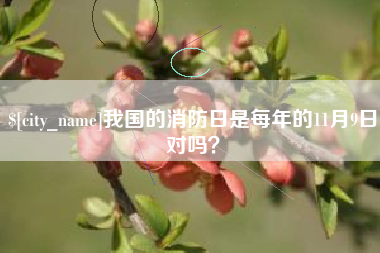 湖北我国的消防日是每年的11月9日对吗？