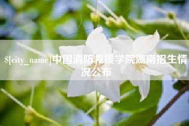 湖北中国消防救援学院湖南招生情况公布