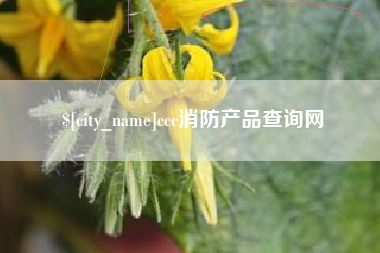 湖北ccc消防产品查询网