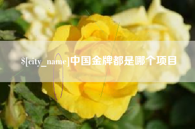 湖北中国金牌都是哪个项目