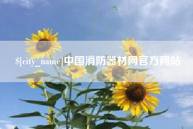 湖北中国消防器材网官方网站