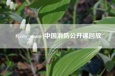 湖北中国消防公开课回放